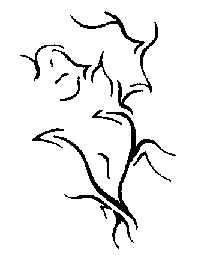 dessin n&deg;1