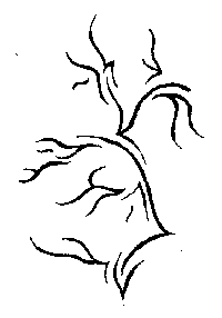 dessin n&deg;3