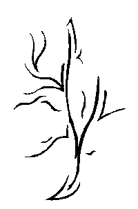 dessin n&deg;4