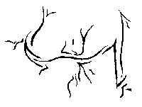 dessin n&deg;5