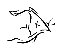 dessin n&deg;6