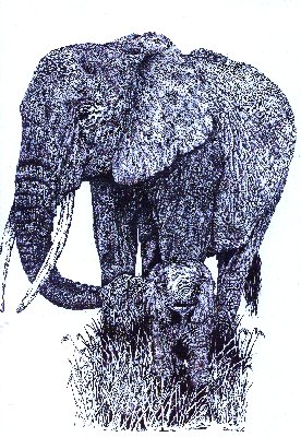 Cliquez sur les images pour les agrandir dans une nouvelle fenetre